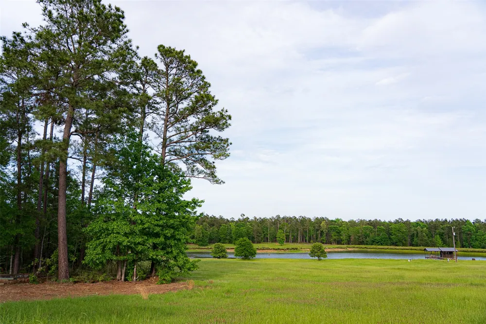 2365 CR 152 Carthage, TX 75633