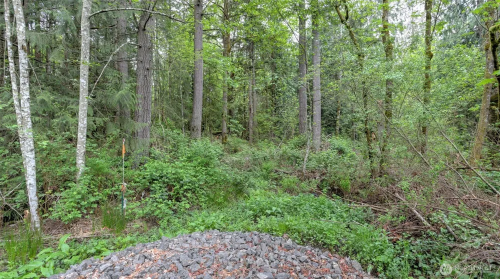 0 SE 311th Court Covington, WA 98042