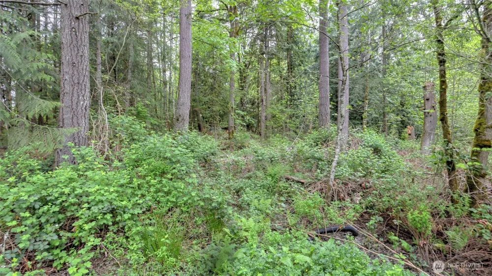 0 SE 311th Court Covington, WA 98042