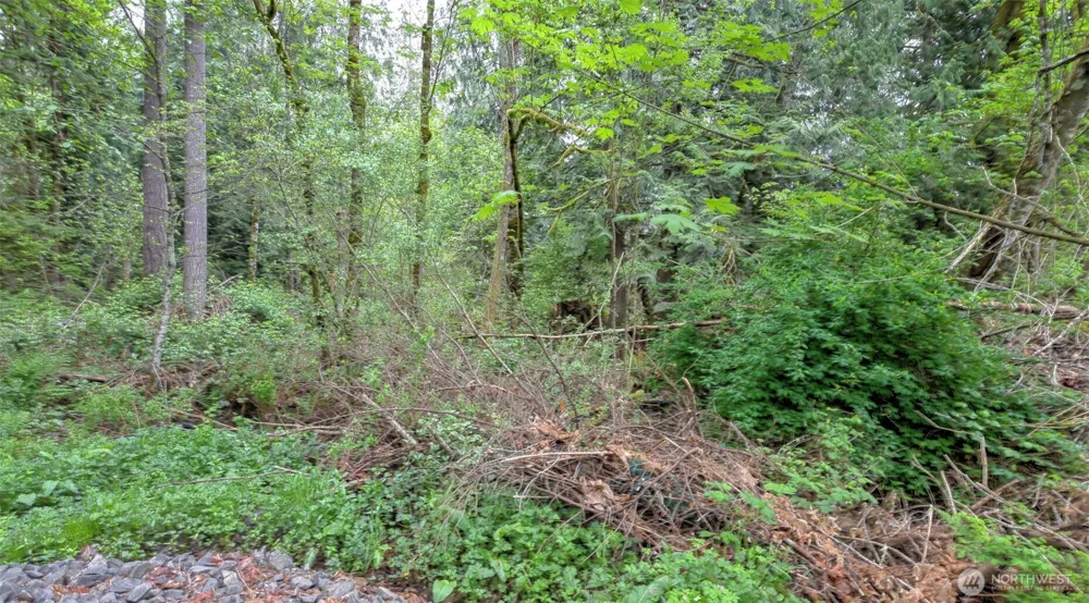 0 SE 311th Court Covington, WA 98042