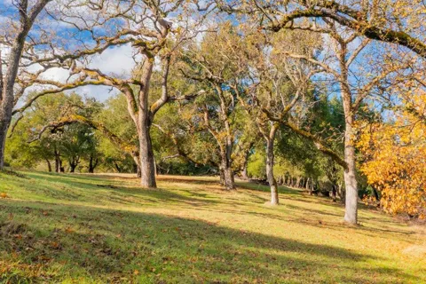 36 Arroyo Sequoia (Lot 117)