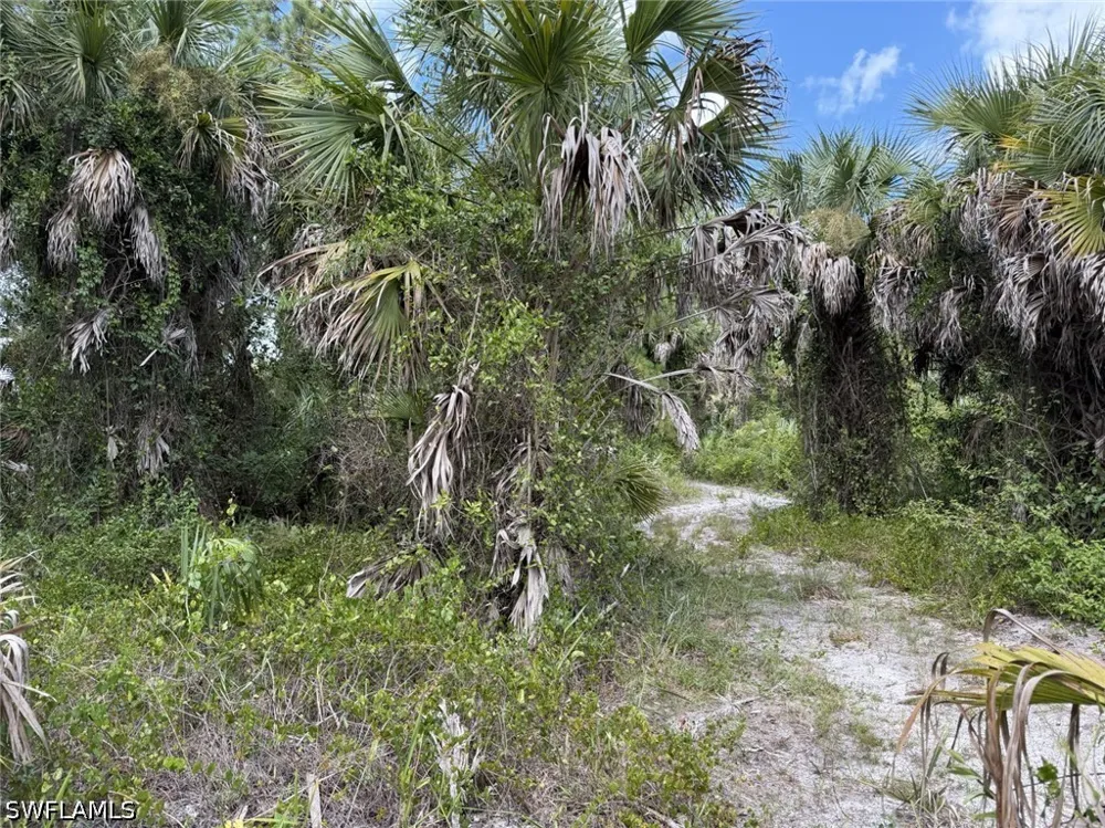 Woodland Grade Private Road Naples, FL 34117