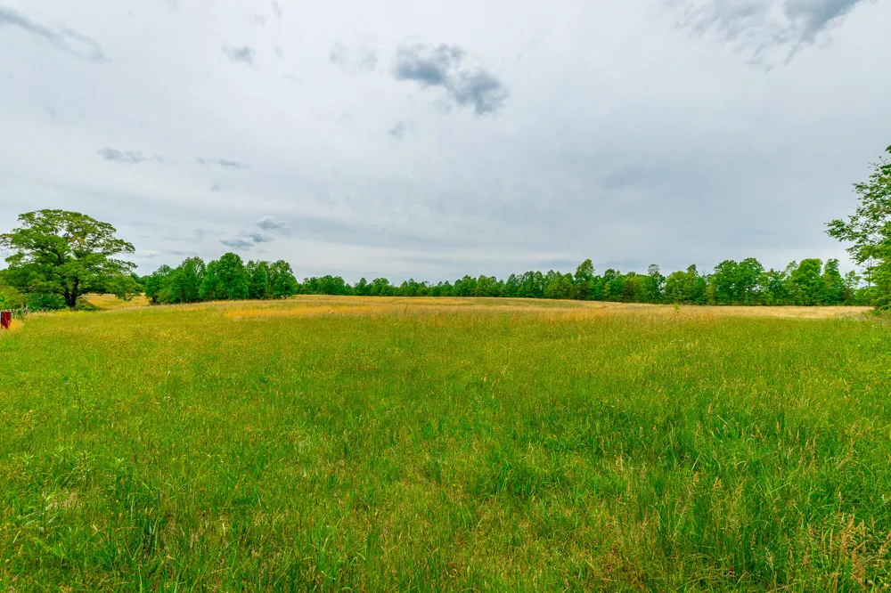 Ray Gadd Road Graysville, TN 37338
