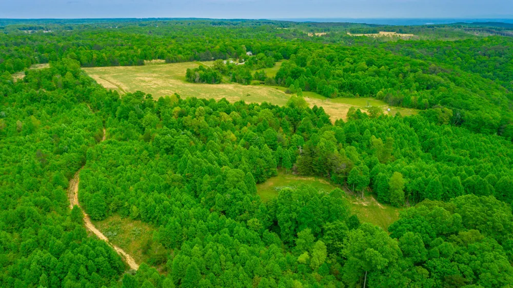 Ray Gadd Road Graysville, TN 37338