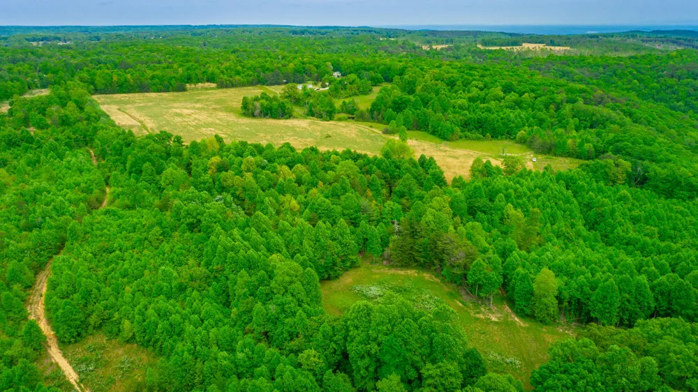 Ray Gadd Road Graysville, TN 37338
