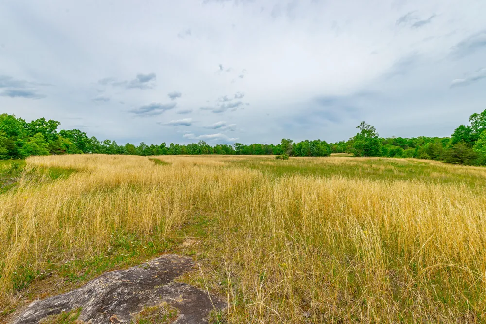 Ray Gadd Road Graysville, TN 37338