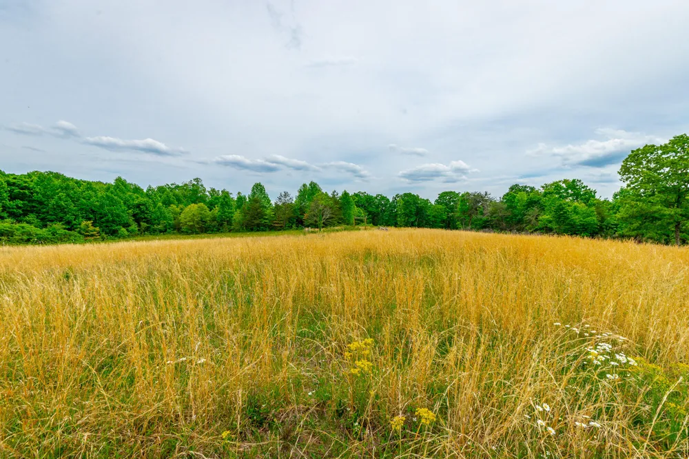 Ray Gadd Road Graysville, TN 37338