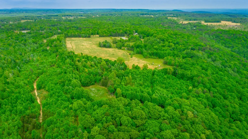 Ray Gadd Road Graysville, TN 37338