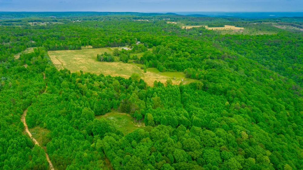 Ray Gadd Road Graysville, TN 37338