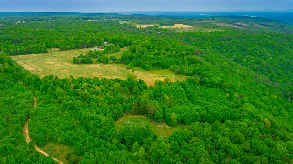 Ray Gadd Road Graysville, TN 37338