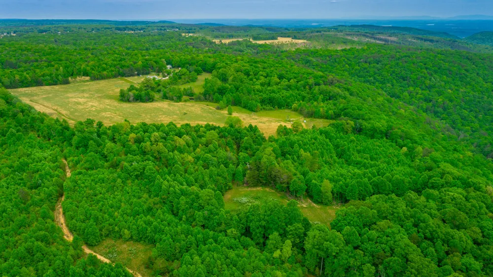 Ray Gadd Road Graysville, TN 37338
