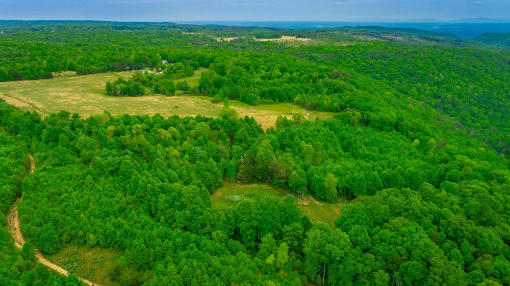 Ray Gadd Road Graysville, TN 37338