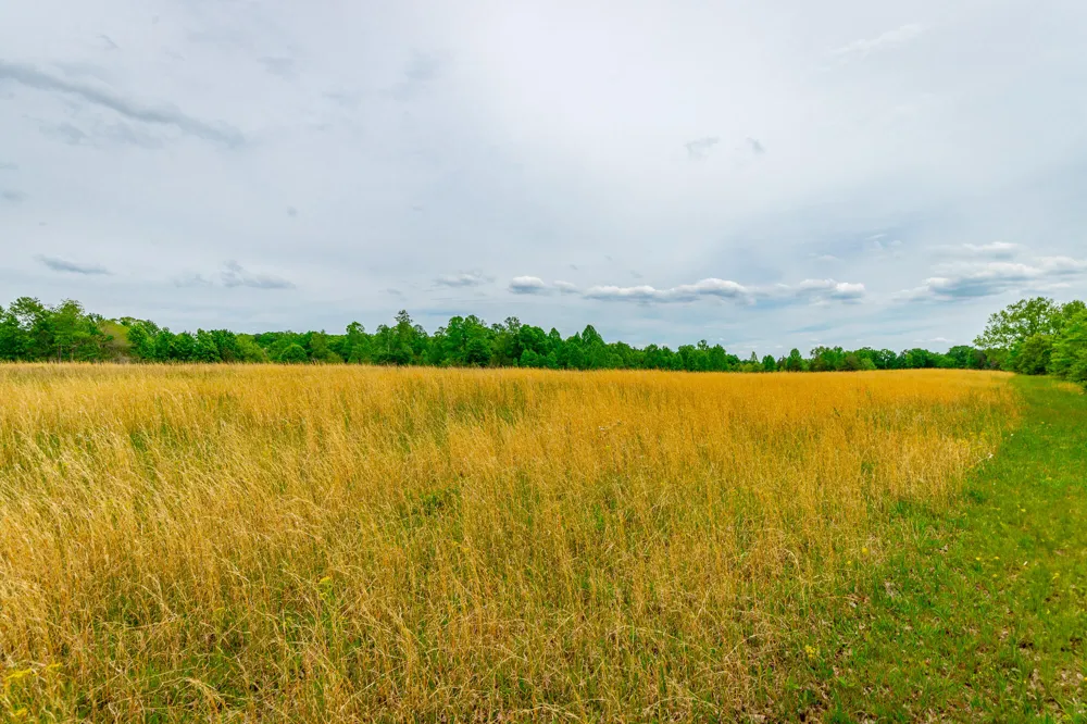Ray Gadd Road Graysville, TN 37338