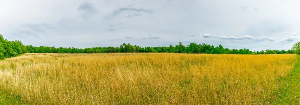 Ray Gadd Road Graysville, TN 37338