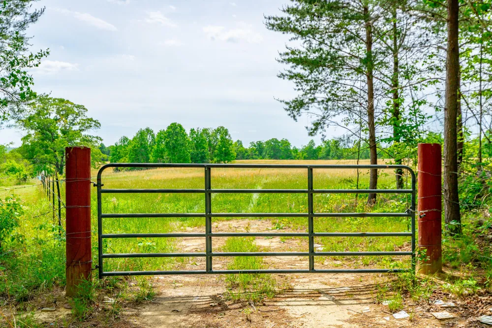 Ray Gadd Road Graysville, TN 37338