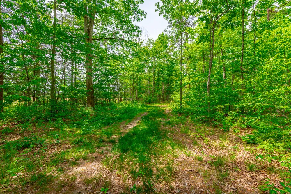Ray Gadd Road Graysville, TN 37338