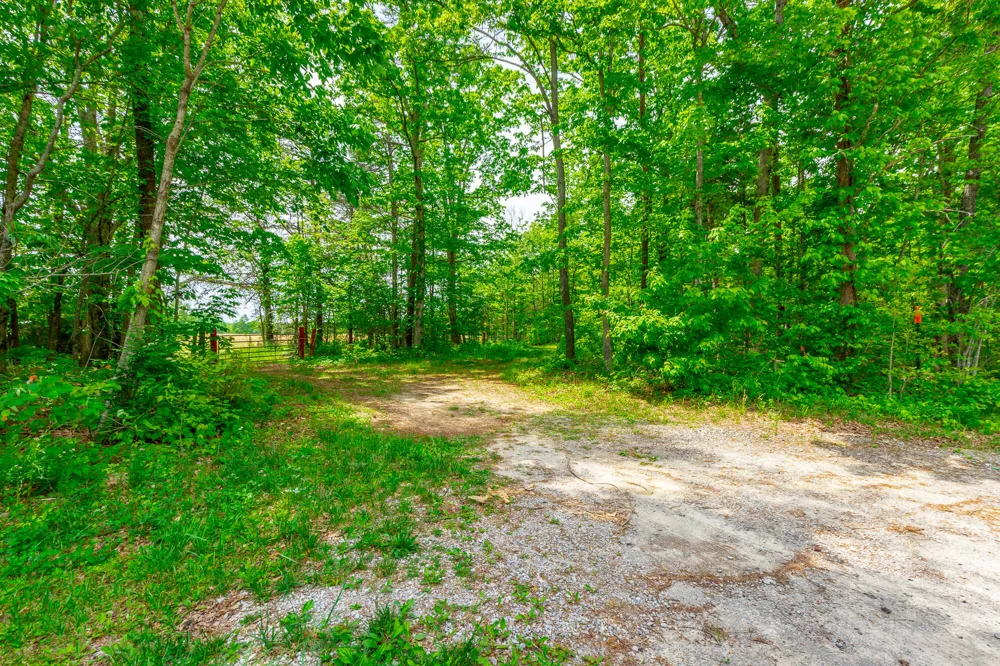 Ray Gadd Road Graysville, TN 37338