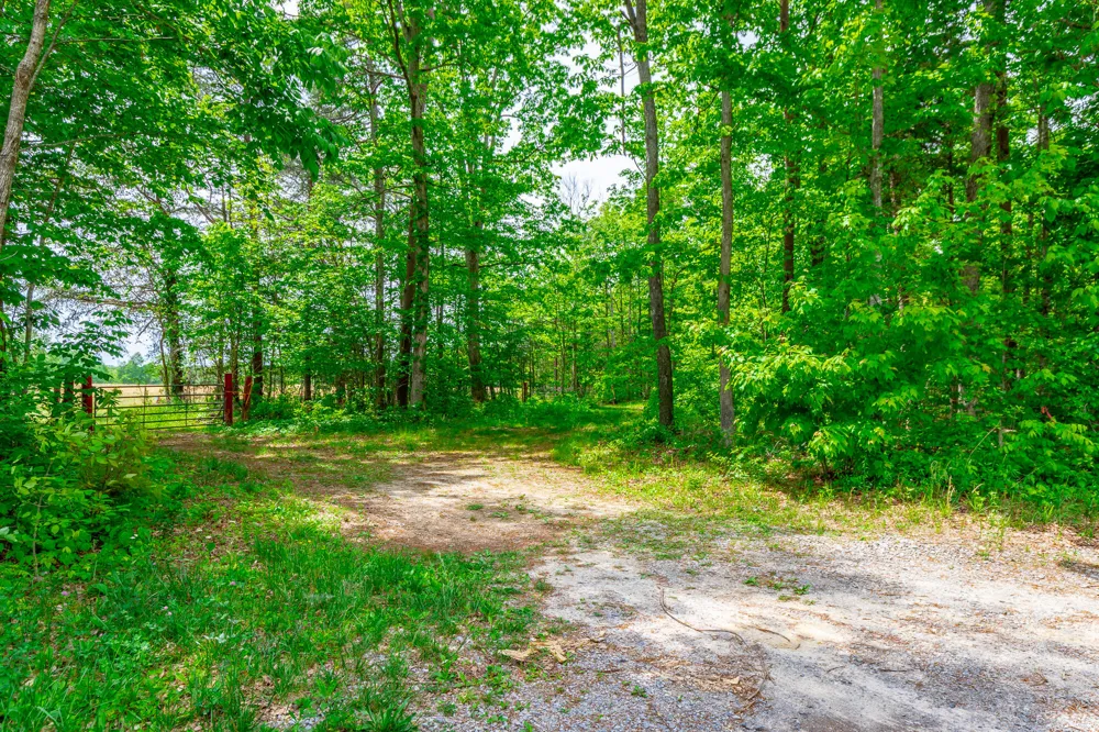 Ray Gadd Road Graysville, TN 37338