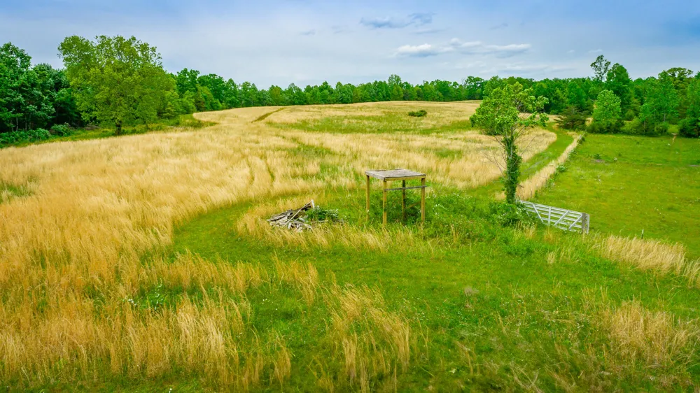 Ray Gadd Road Graysville, TN 37338