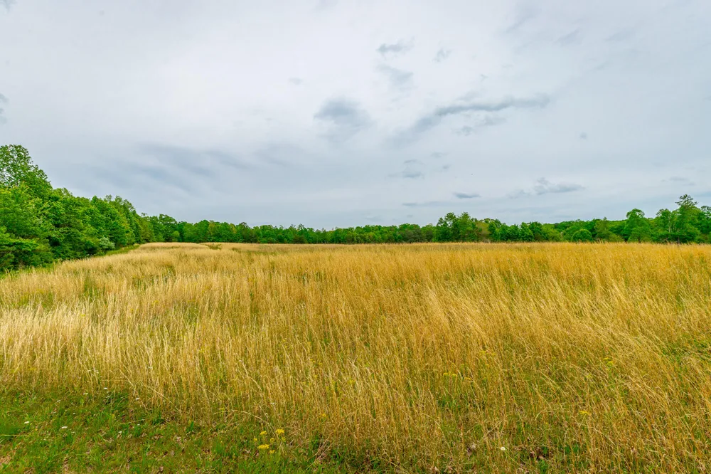 Ray Gadd Road Graysville, TN 37338
