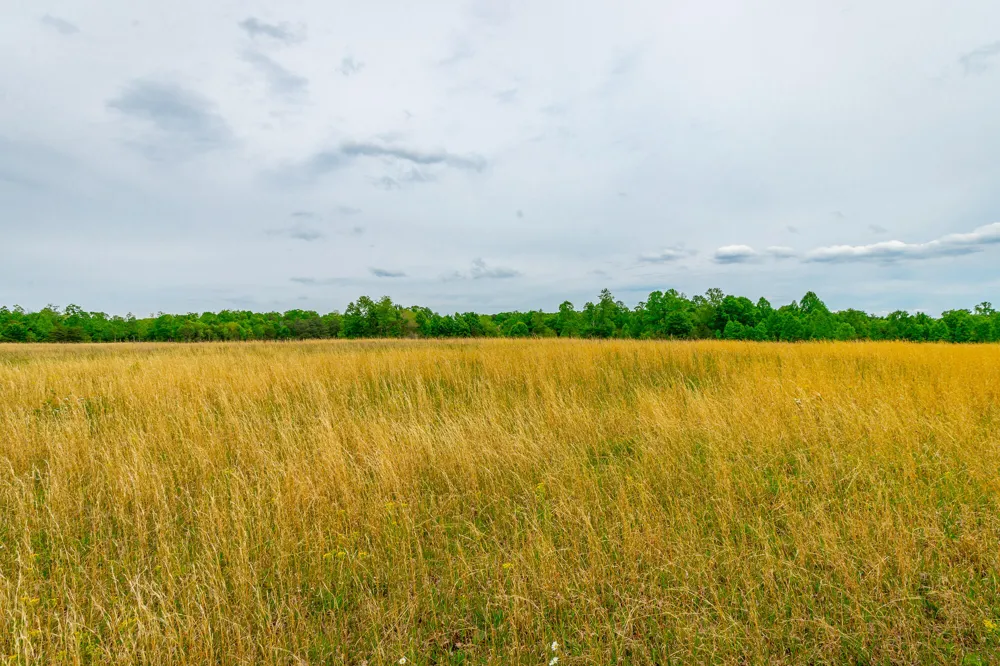 Ray Gadd Road Graysville, TN 37338