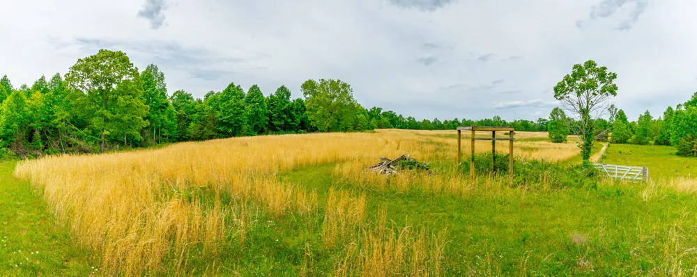 Ray Gadd Road Graysville, TN 37338