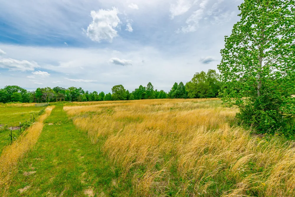 Ray Gadd Road Graysville, TN 37338