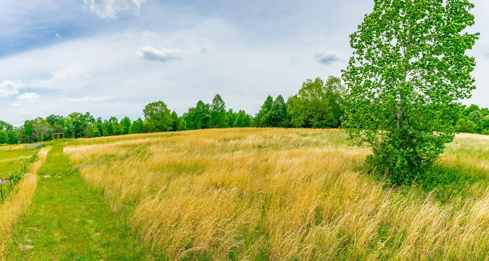 Ray Gadd Road Graysville, TN 37338