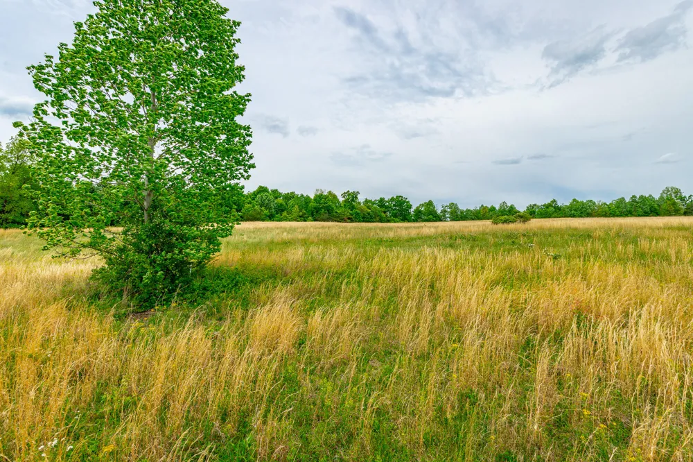 Ray Gadd Road Graysville, TN 37338