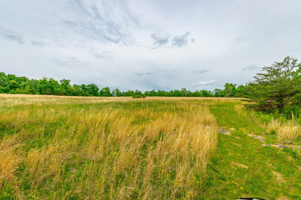 Ray Gadd Road Graysville, TN 37338