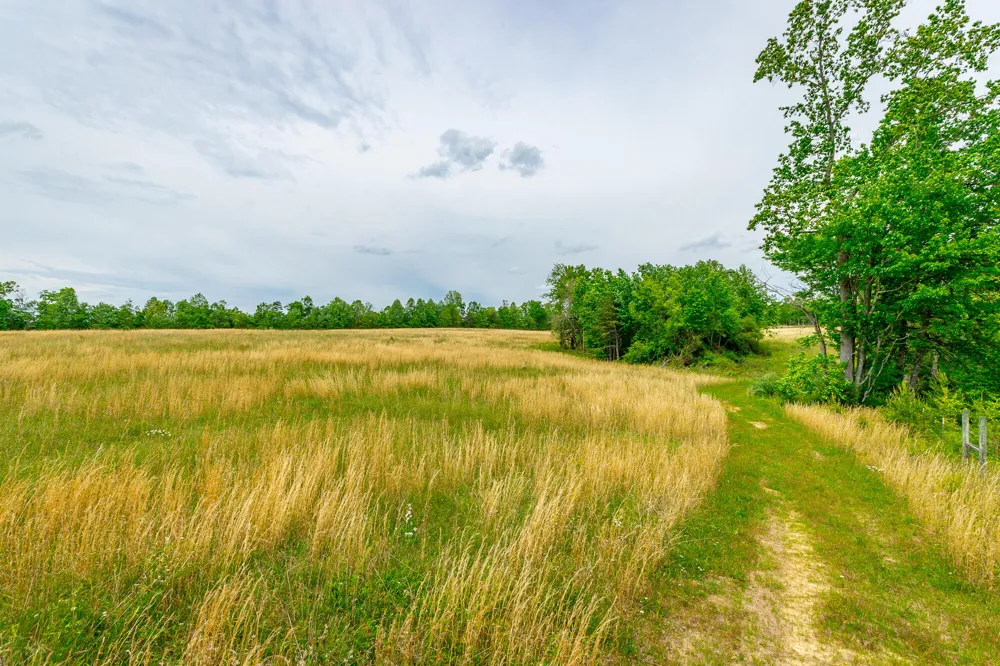 Ray Gadd Road Graysville, TN 37338
