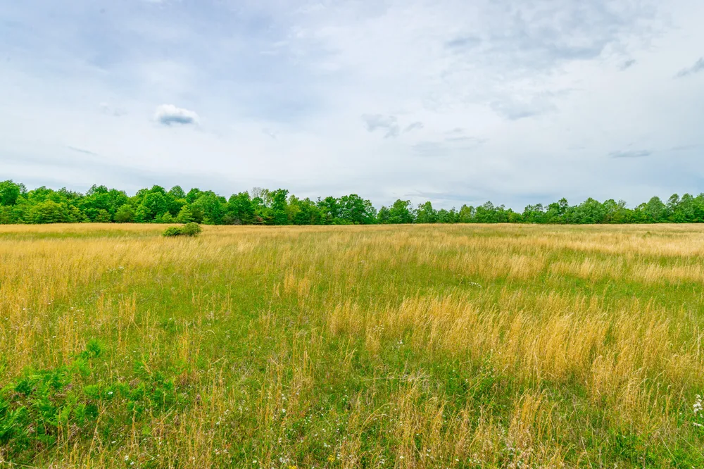 Ray Gadd Road Graysville, TN 37338