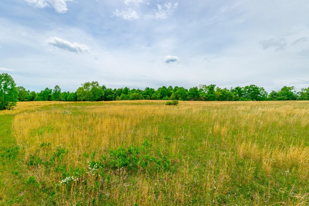 Ray Gadd Road Graysville, TN 37338