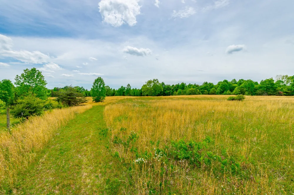 Ray Gadd Road Graysville, TN 37338