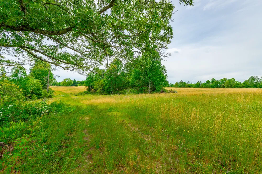 Ray Gadd Road Graysville, TN 37338