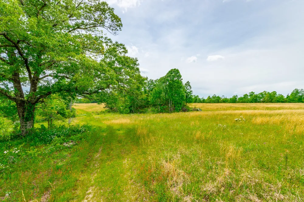 Ray Gadd Road Graysville, TN 37338