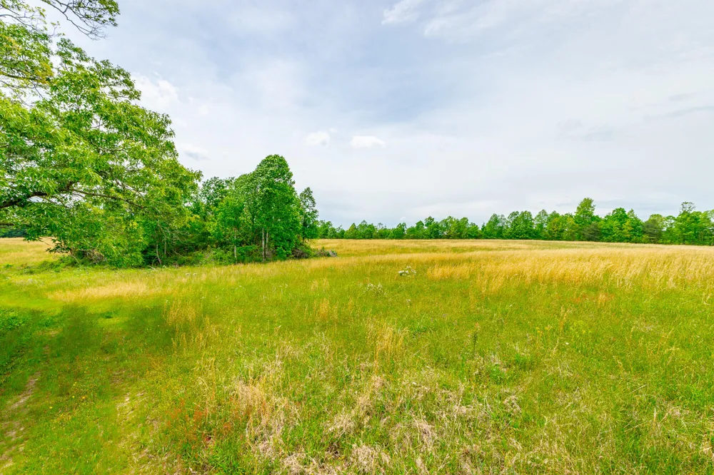 Ray Gadd Road Graysville, TN 37338