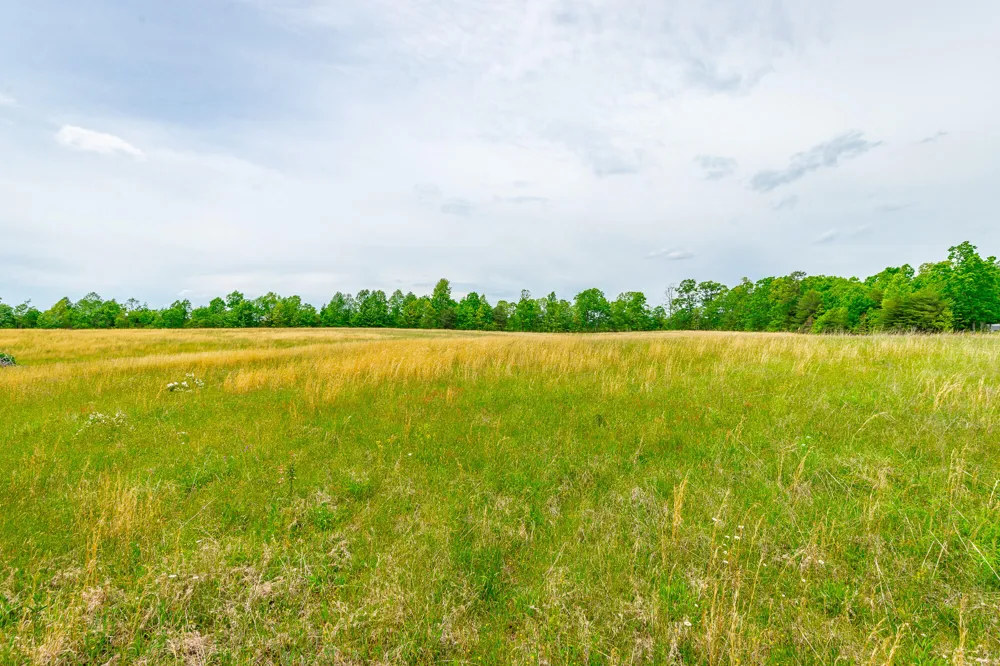 Ray Gadd Road Graysville, TN 37338