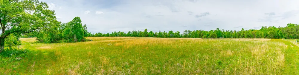 Ray Gadd Road Graysville, TN 37338