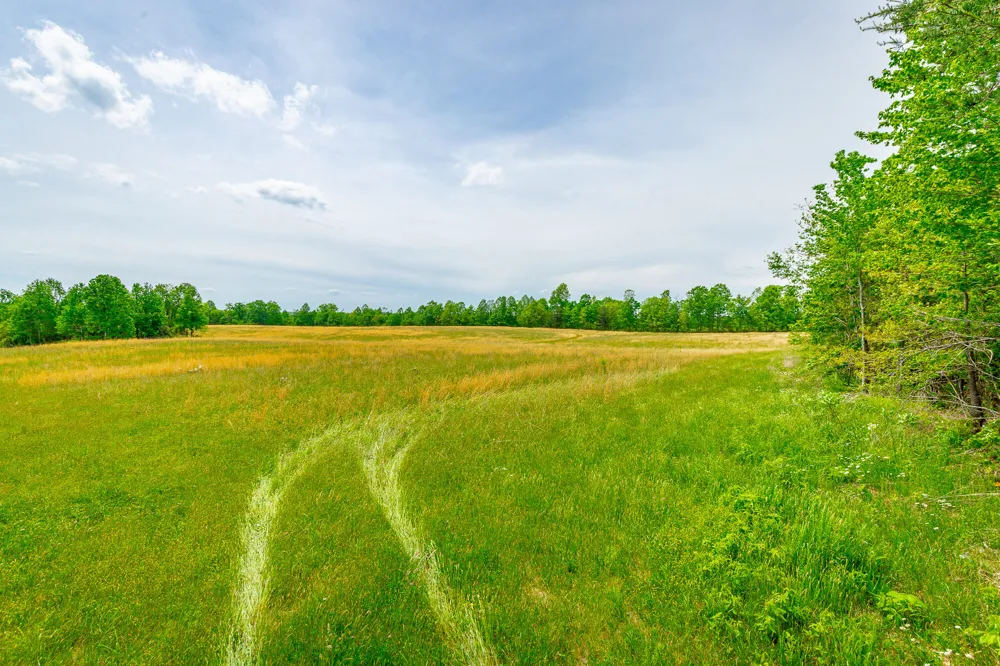Ray Gadd Road Graysville, TN 37338