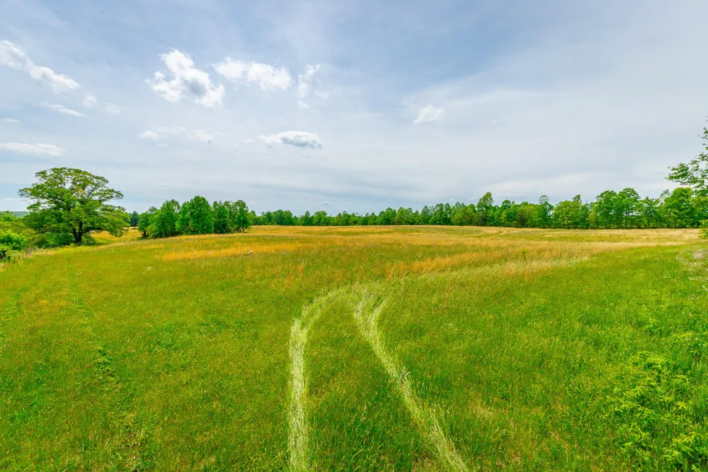 Ray Gadd Road Graysville, TN 37338