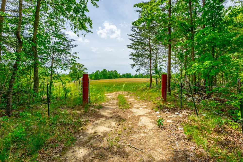 Ray Gadd Road Graysville, TN 37338