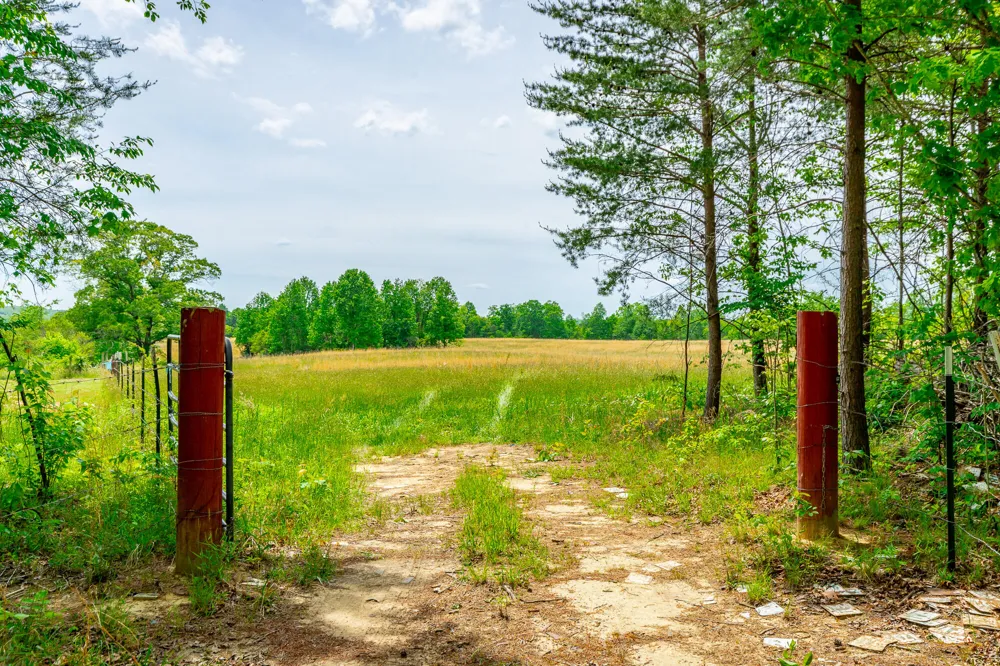 Ray Gadd Road Graysville, TN 37338