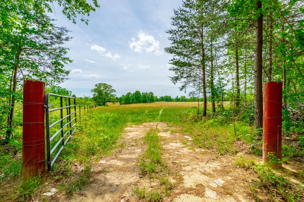 Ray Gadd Road Graysville, TN 37338