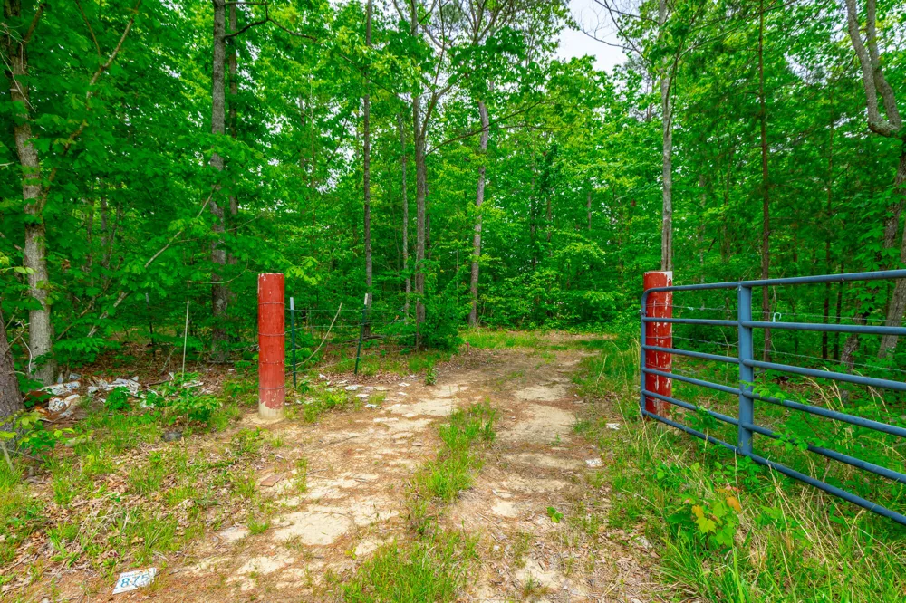 Ray Gadd Road Graysville, TN 37338