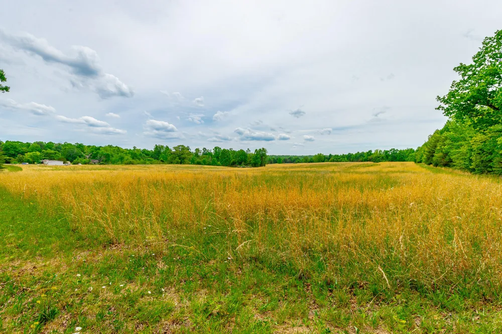 Ray Gadd Road Graysville, TN 37338