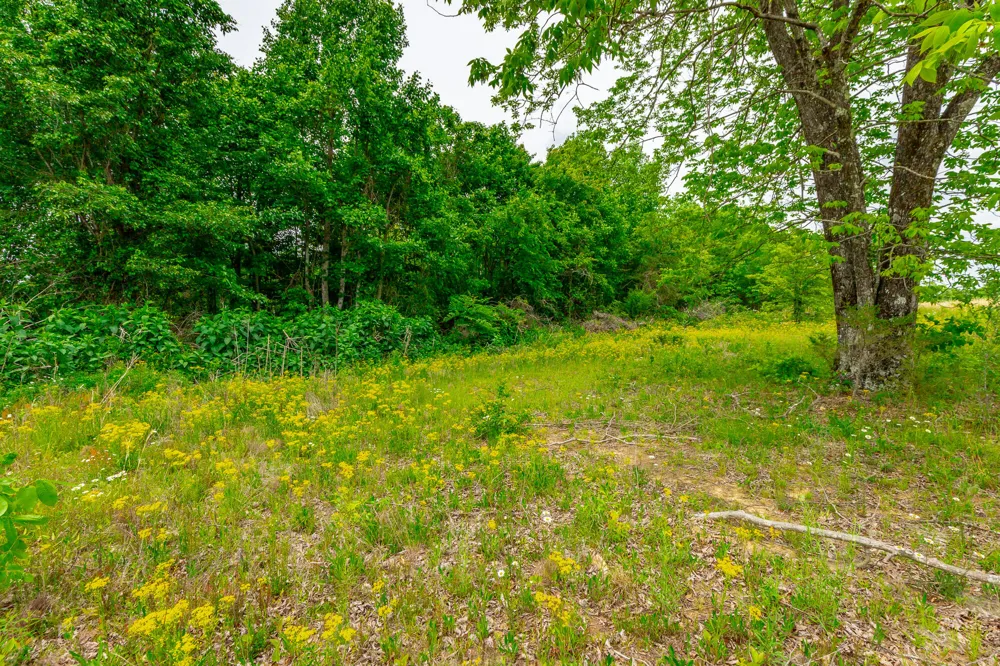 Ray Gadd Road Graysville, TN 37338