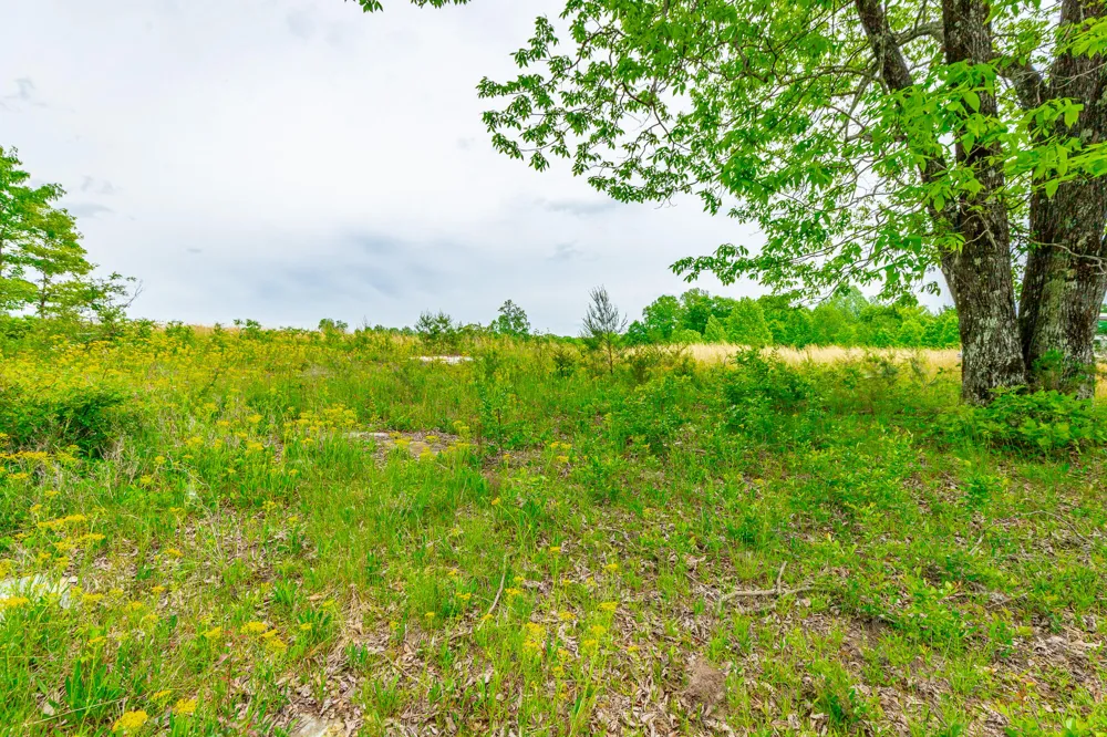 Ray Gadd Road Graysville, TN 37338