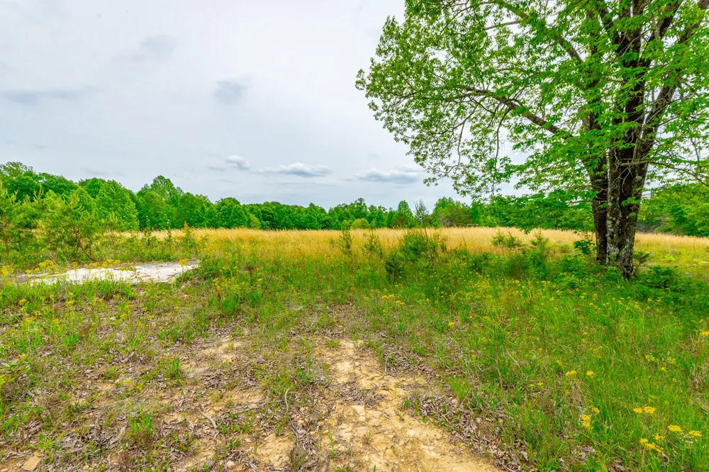 Ray Gadd Road Graysville, TN 37338