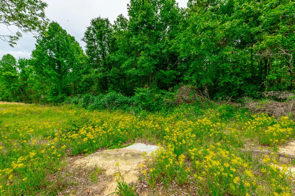 Ray Gadd Road Graysville, TN 37338